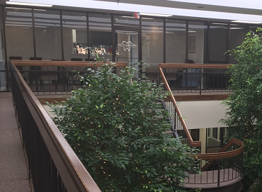 A staircase in a building with a tree in the middle