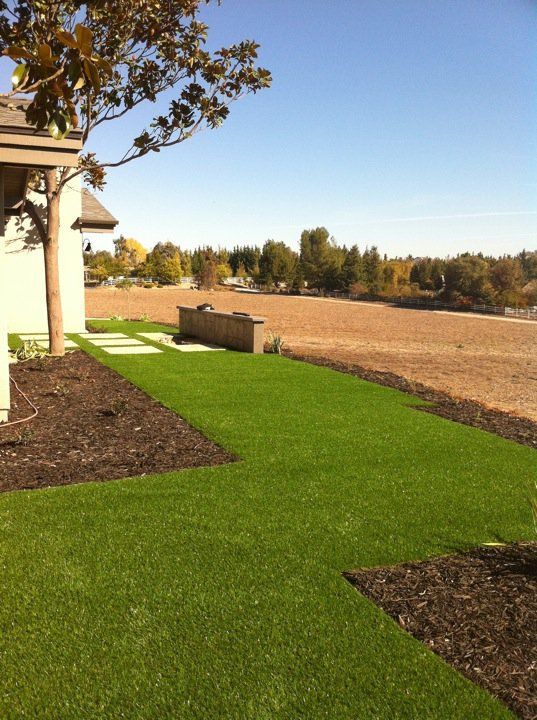 Fresh green lawn beside a house, with mulch beds, a tree, and open field under a clear sky.