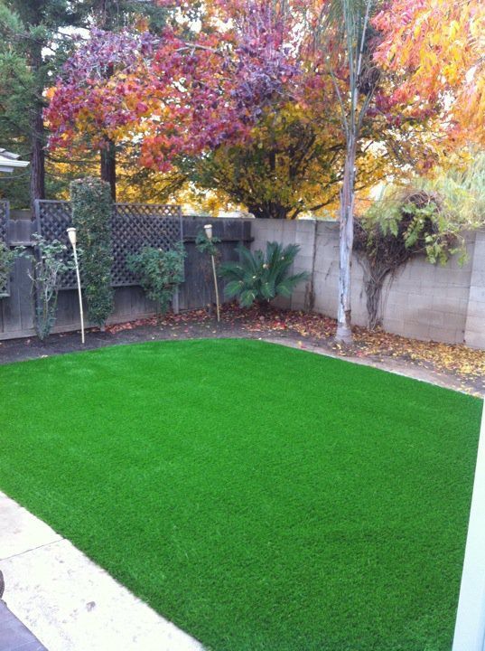 Backyard with bright green lawn, autumn trees, and a white fence along the edge