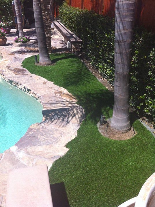 Curved turquoise pool beside palm trees, green lawn, and a stone bench in a sunny garden