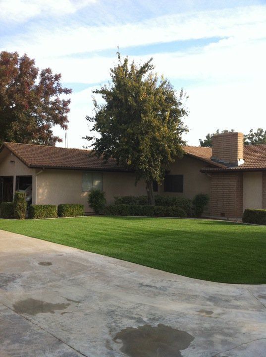 Suburban house with a green lawn, driveway, and a large tree in front at dusk