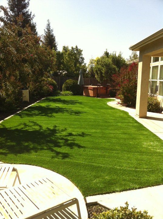 Backyard lawn with trees, patio, and a house in bright sunlight
