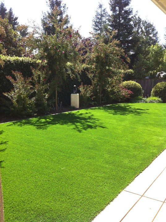 Sunny green lawn bordered by trees and hedges beside a paved walkway