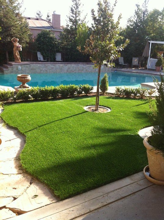 Backyard patio with a bright green lawn, small tree, and swimming pool in the background