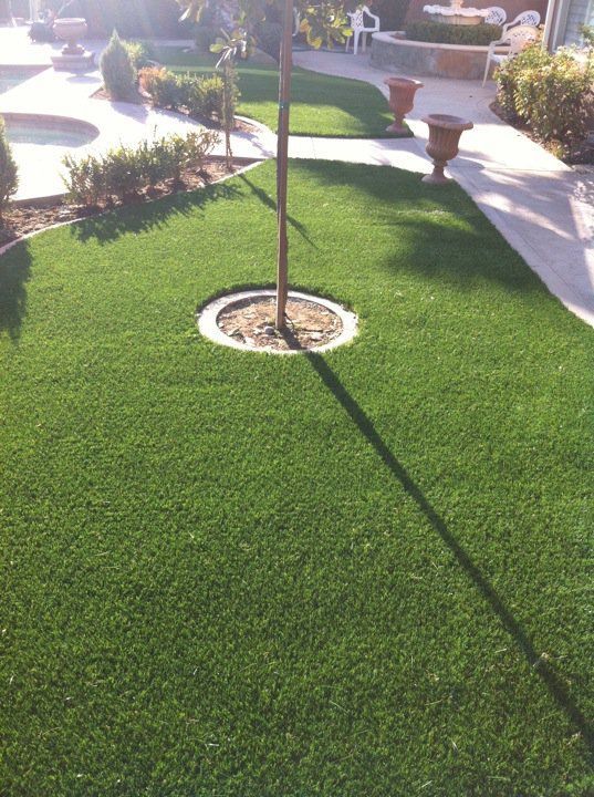Sunny landscaped yard with green lawn, a young tree in a circular bed, and a walkway with planters.