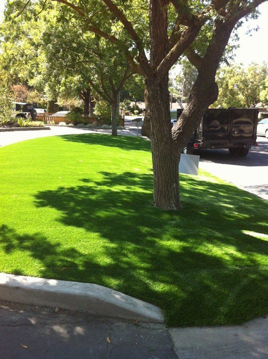 Sunny suburban street with green lawn, trees, and a parked black SUV by the curb