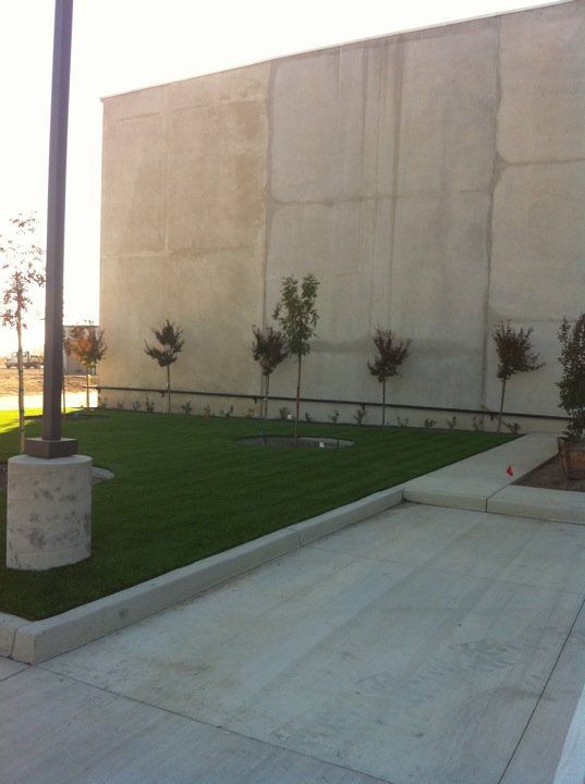 Concrete building wall beside a green lawn and sidewalk with small trees and a lamp post