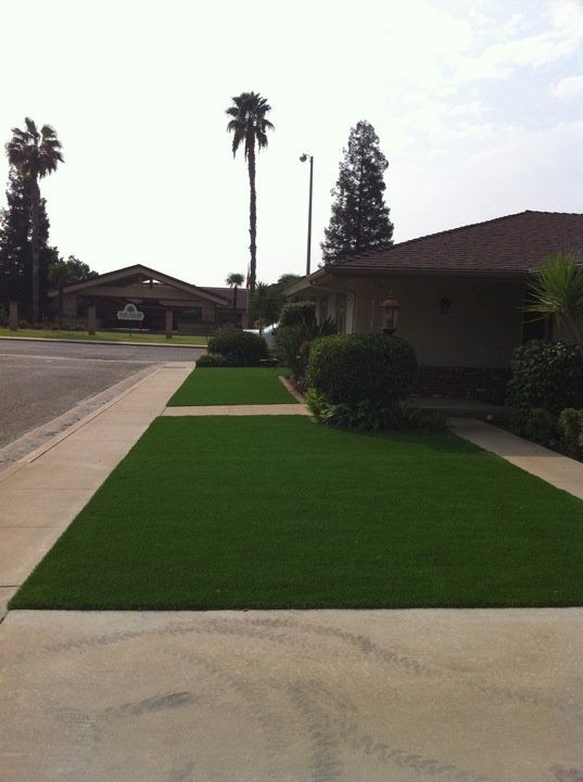 Residential sidewalk and driveway with bright green lawn, palm trees, and houses on a sunny street.