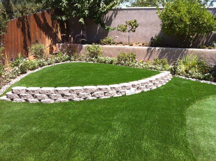 Lush green backyard with a curved stone garden bed and landscaped shrubs along the fence