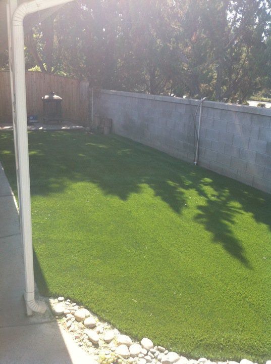 Sunny backyard with green turf, a concrete wall, and tree shadows across the lawn.