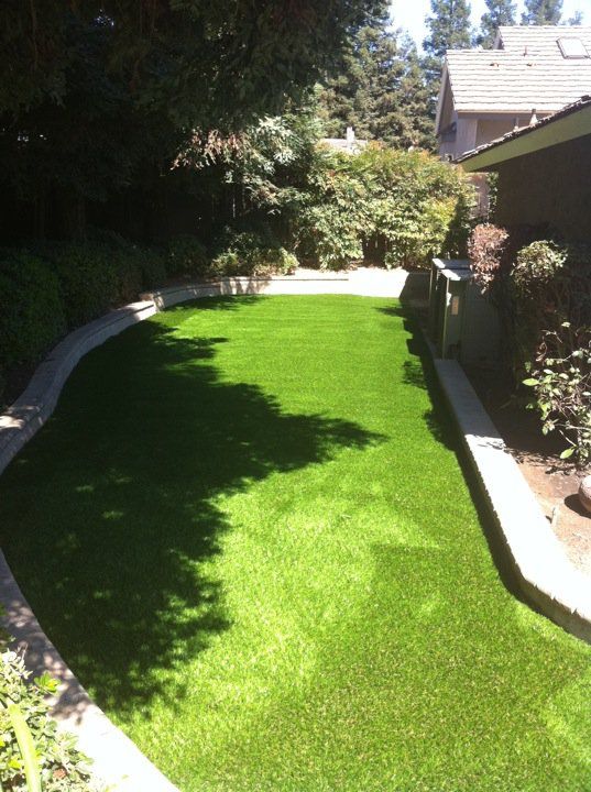 Sunny backyard with bright green lawn, curved white edging, trees, and a house beside the garden