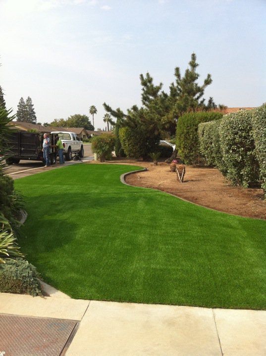Curved green lawn in a landscaped backyard with trees, hedges, and a patio on the left.