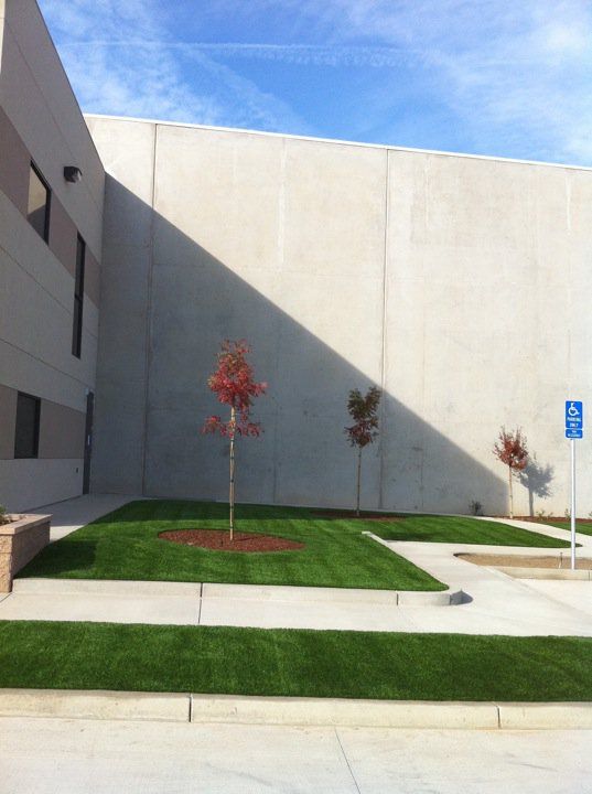 Modern concrete courtyard with small trees, grass patches, and blue sky shadows
