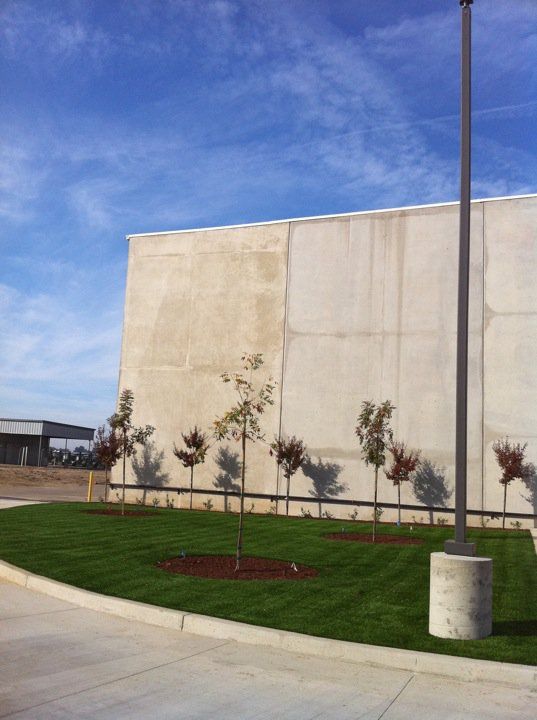 Concrete building wall beside a curved lawn and sidewalk under a blue sky, with a light pole in front.