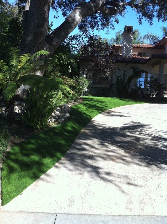 Curved driveway beside a shaded lawn and large trees leading to a house entrance
