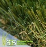 Grass