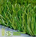 Grass