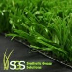 Grass