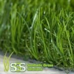 Grass