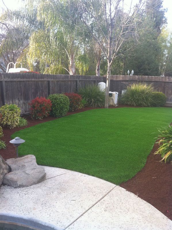 Backyard lawn with trees, shrubs, wooden fence, and a concrete patio corner
