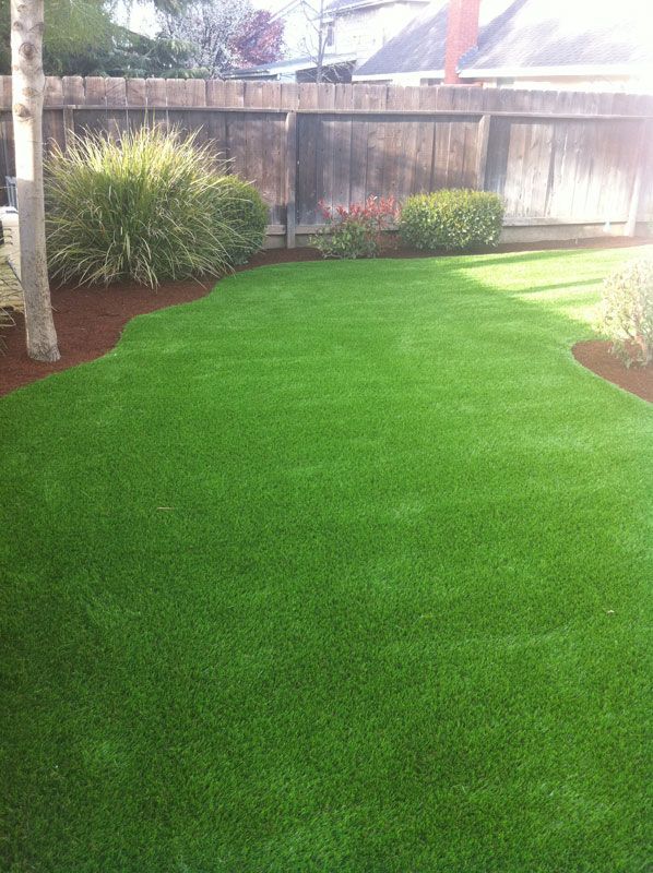 Lush green backyard lawn with shrubs, a wooden fence, and sunlit landscaping.