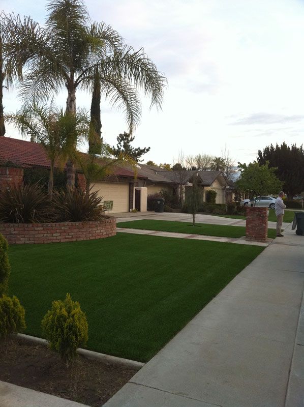Suburban house with palm trees, manicured lawn, and sidewalk along a quiet street