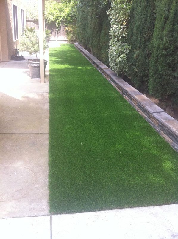 Narrow green artificial turf strip beside a concrete walkway and tall hedges in a courtyard