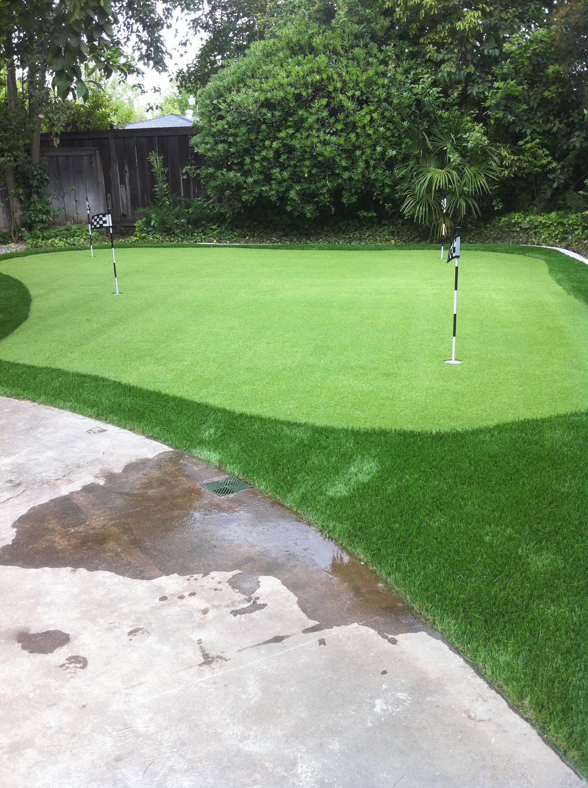 Putting green in a backyard with two flagsticks and a wet concrete edge