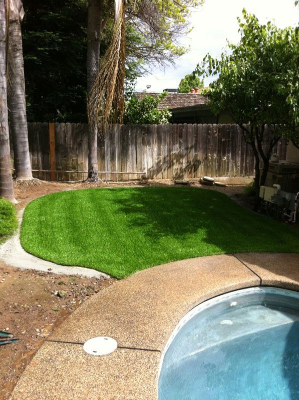 Backyard with green lawn, curved pool edge, and wooden fence in bright sunlight