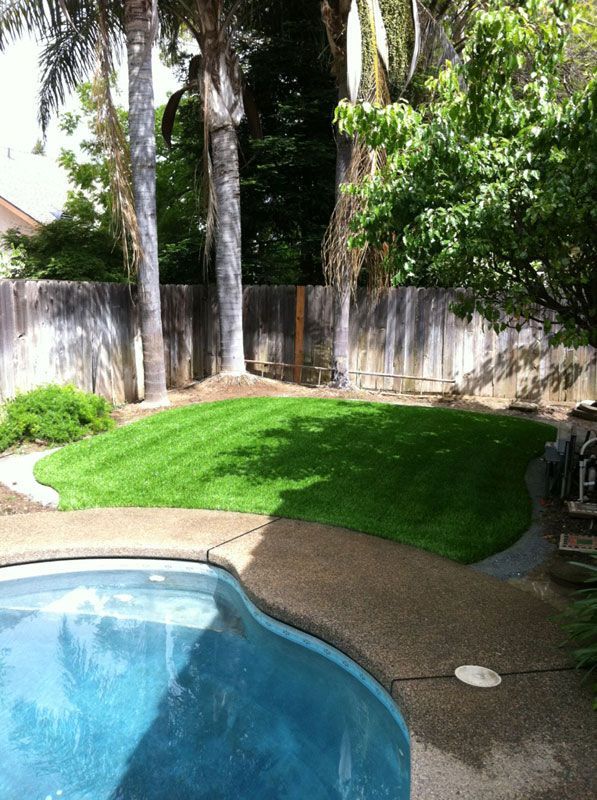 Backyard pool with blue water, curved deck, green lawn, trees, and a tall fence in the background