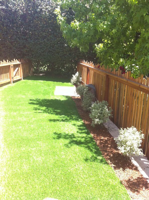 Sunny backyard lawn with wooden fence, garden bed, and trees along the right side