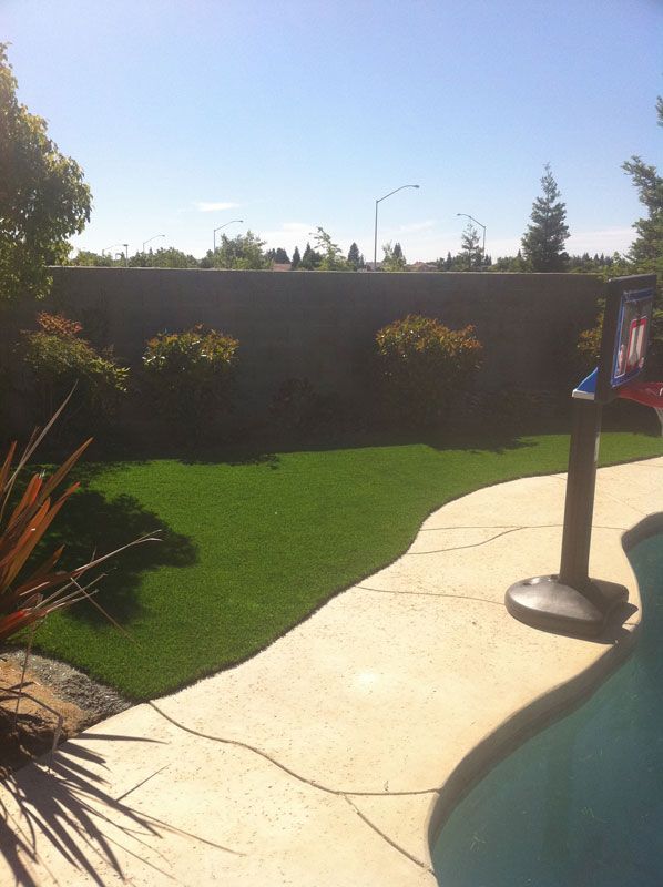 Sunny backyard with green lawn, curved pool edge, and a basketball hoop near a tall wall