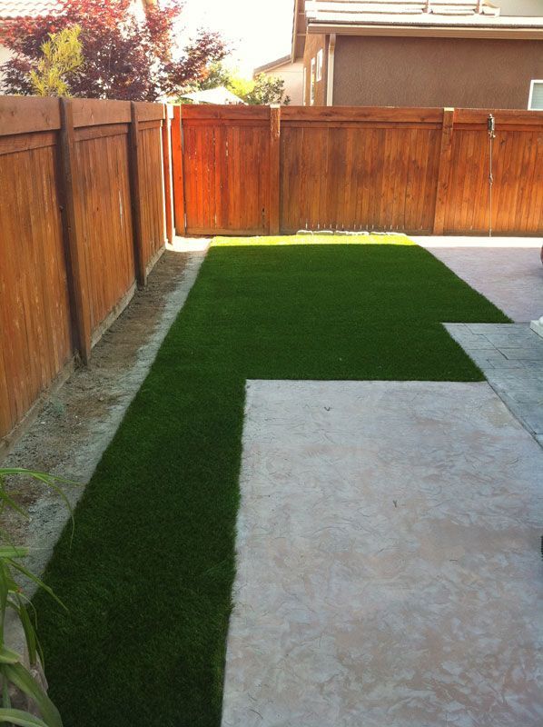 Backyard with wooden fence, green turf strip, and concrete patio in bright daylight