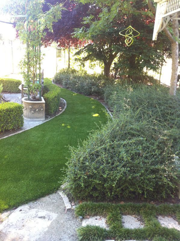Sunlit garden path with curved lawn, shrubs, and potted plants under a pergola