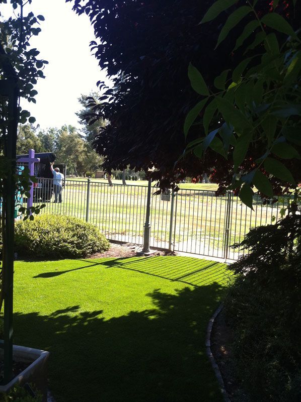 Sunny park with green grass, metal fence, trees, and a person standing near the path