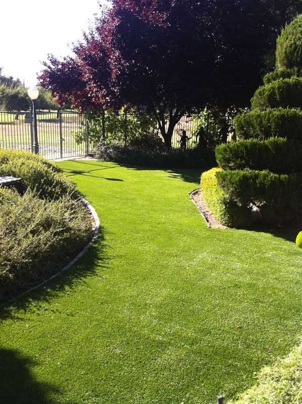Curved green lawn with trimmed trees and shrubs in a sunny garden yard