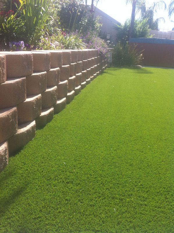 Sunlit backyard with a tan retaining wall beside a lush green lawn and palm trees