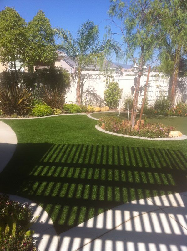 Sunny backyard with green lawn, palm trees, white wall, and striped patio shadows