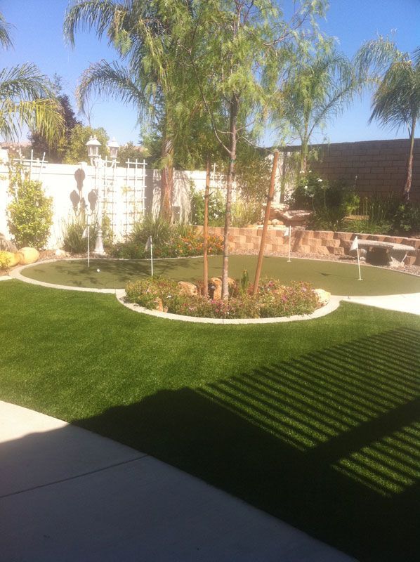 Backyard with green lawn, palm trees, and a circular garden bed in bright sunlight