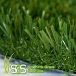 Grass