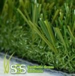 Grass