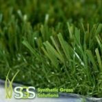 Grass