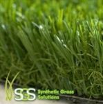 Grass