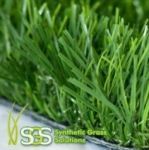 Grass