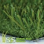 Grass