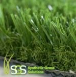 Grass