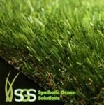 Grass