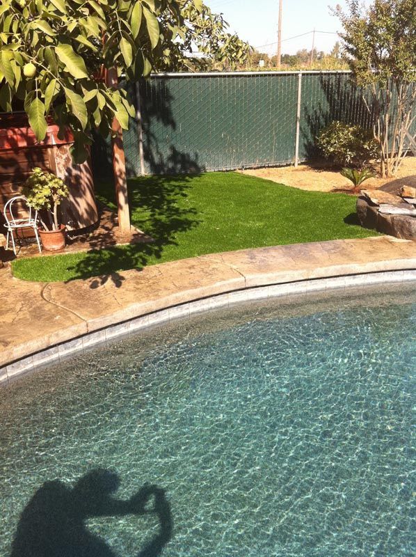 Backyard swimming pool with curved edge, green lawn, trees, and a fence in bright sunlight