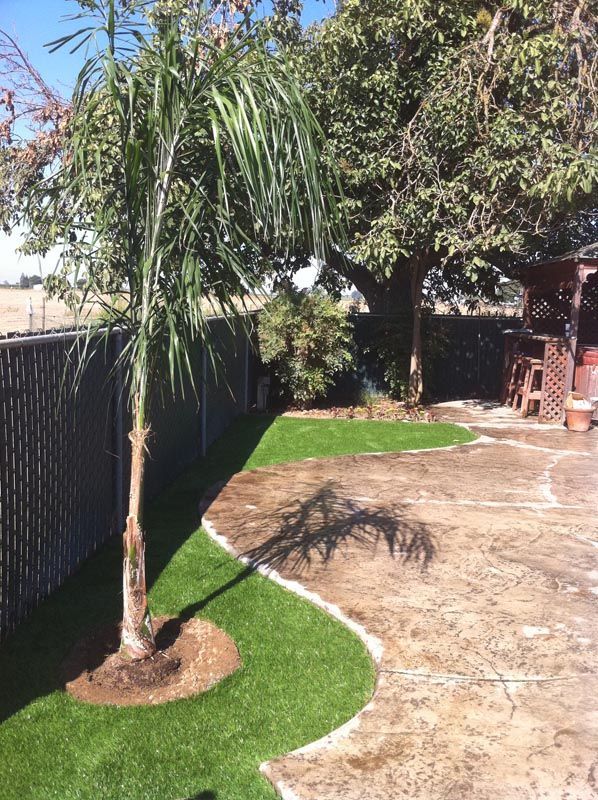 Backyard with a palm tree, curved artificial grass border, concrete path, and fence in sunlight