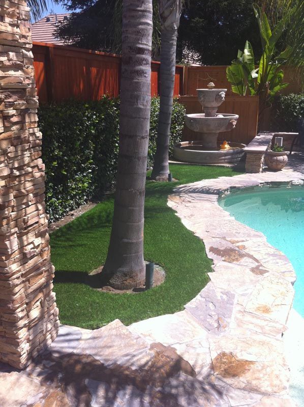 Backyard pool with palm trees, stone walkway, and a tiered fountain beside a red fence